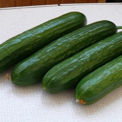 Базис F1