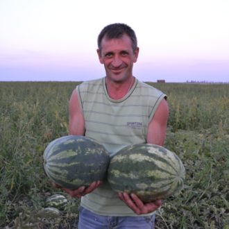 АУ-Продюсер