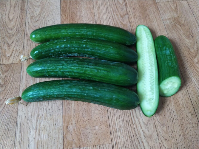 pis_f1 (1)