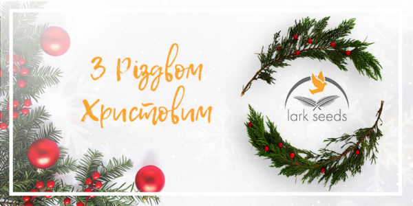 З Різдвом Христовим