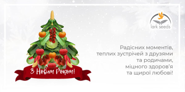 З Новим Роком