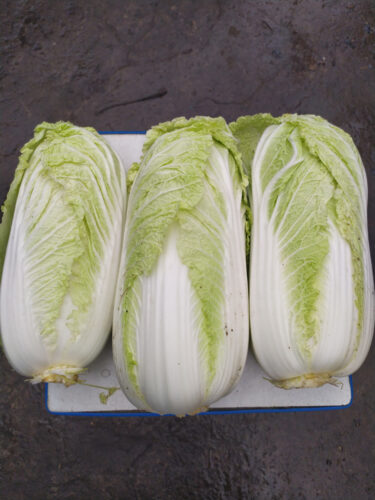 К7