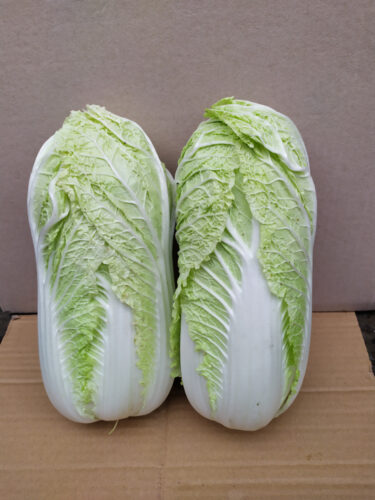 К9