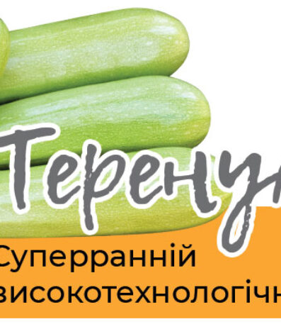 Суперранній високотехнологічний гібрид кабачка – ТЕРЕНУМ F1