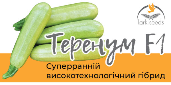 Суперранній високотехнологічний гібрид кабачка – ТЕРЕНУМ F1