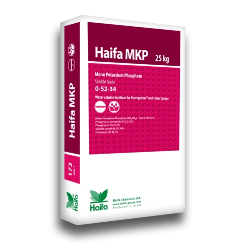 Haifa MKP ™