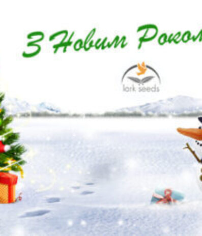З Новим Роком 2021