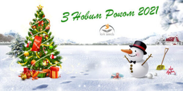 З Новим Роком 2021