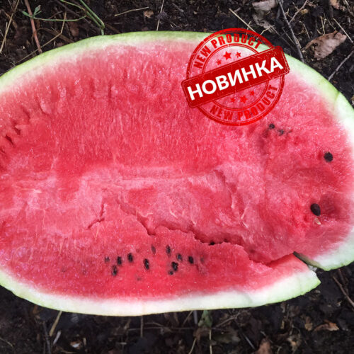 Бютіфул F1