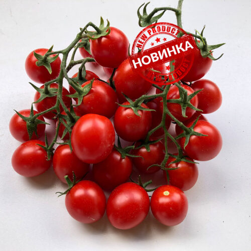 Дредд F1