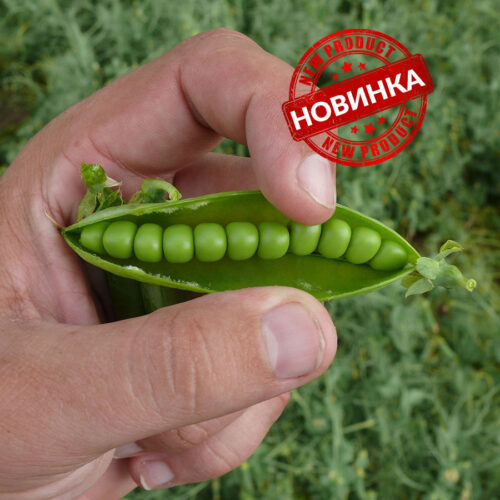 Мегасайз