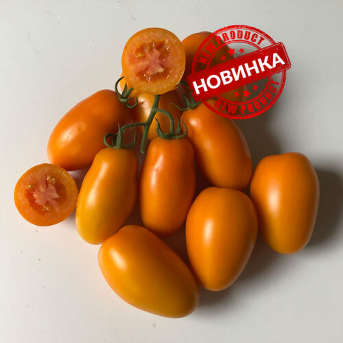 Ремембе F1