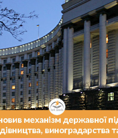 Уряд оновив механізм державної підтримки розвитку садівництва, виноградарства та хмелярства