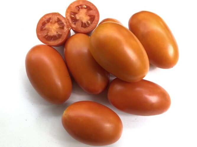 orange_plam_f1 (16)