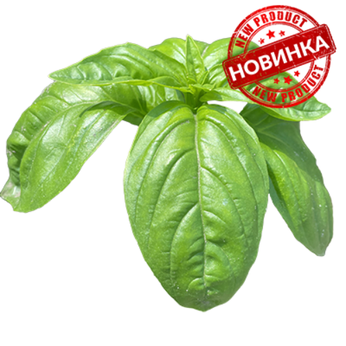 Грін Дом