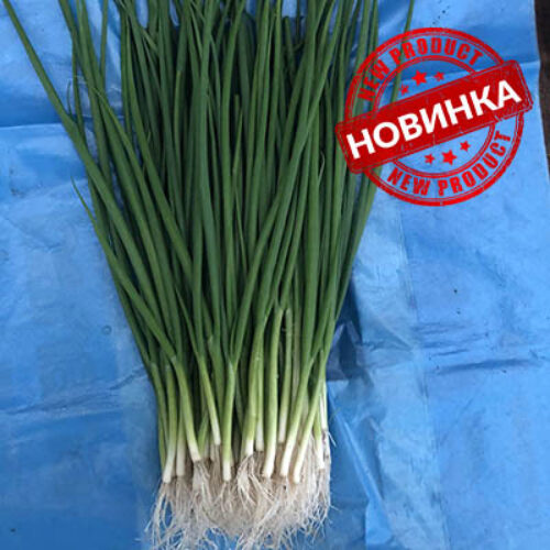 Грінпік F1