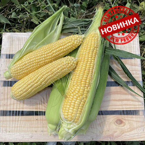 Світ Лакі F1