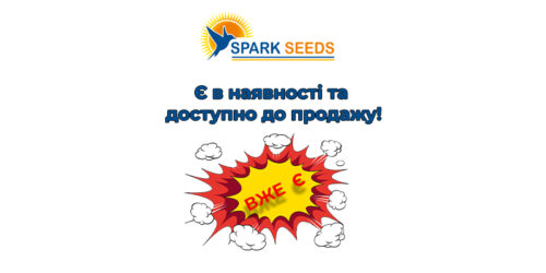 Наявність на 10.02.2025