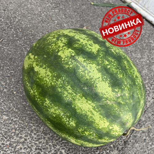 Лімпопо F1