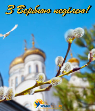 З Вербною неділею!