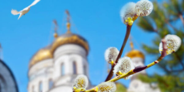 З Вербною неділею!