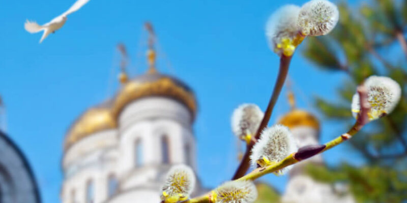 З Вербною неділею!