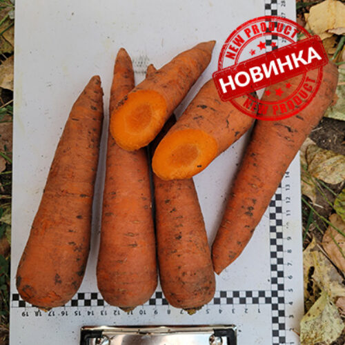 Централ F1