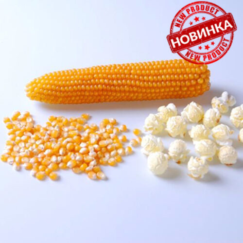 Попкорн Саммер F1