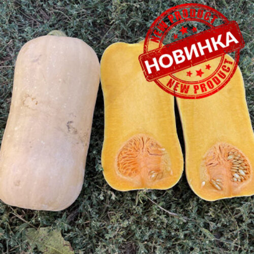Баррель F1