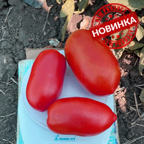 Драй F1
