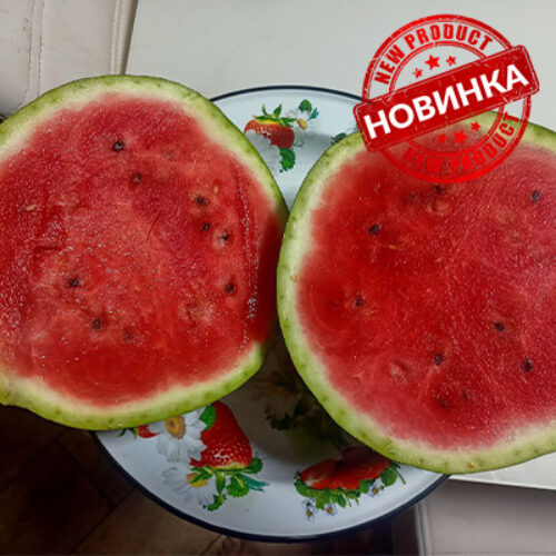 Гонолулу F1