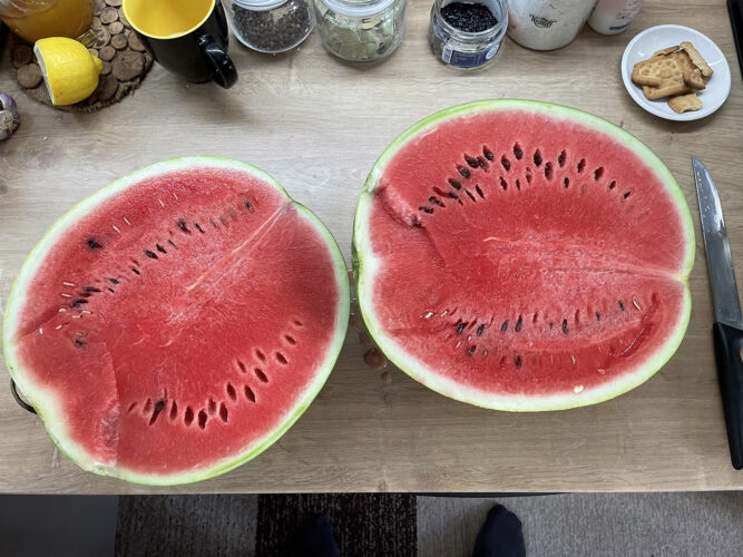 red_berry_f1 (3)
