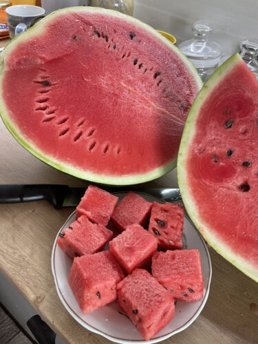red_berry_f1 (6)