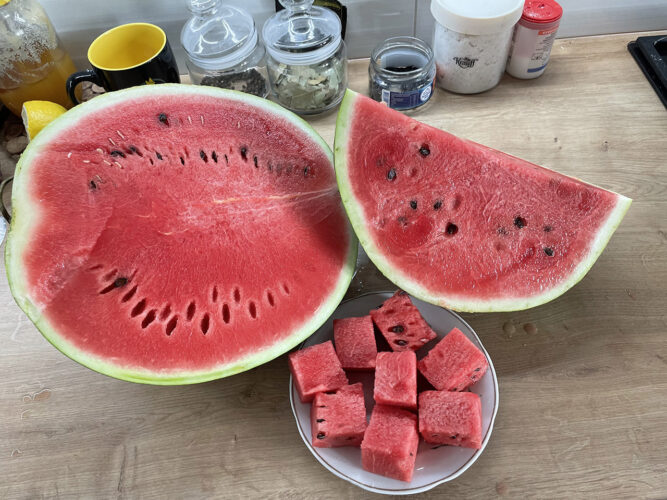 red_berry_f1 (7)