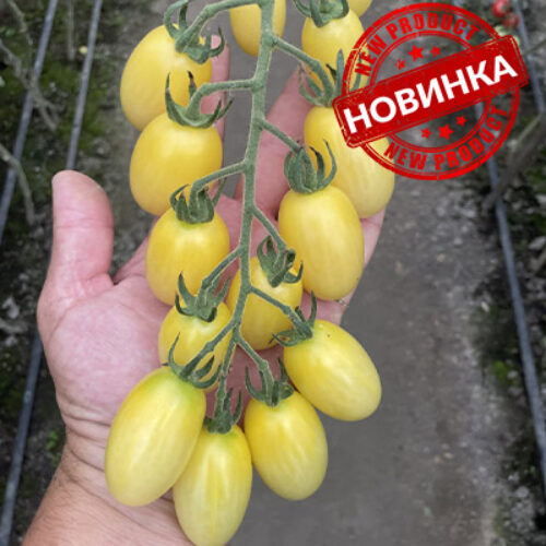 Смарт F1