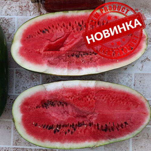 Віллінг F1