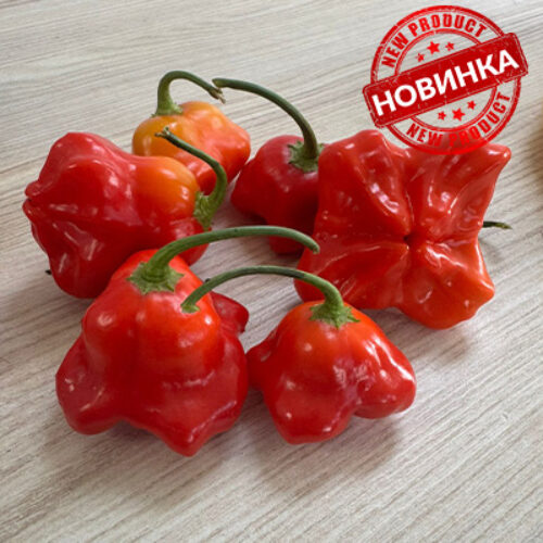 Блум F1