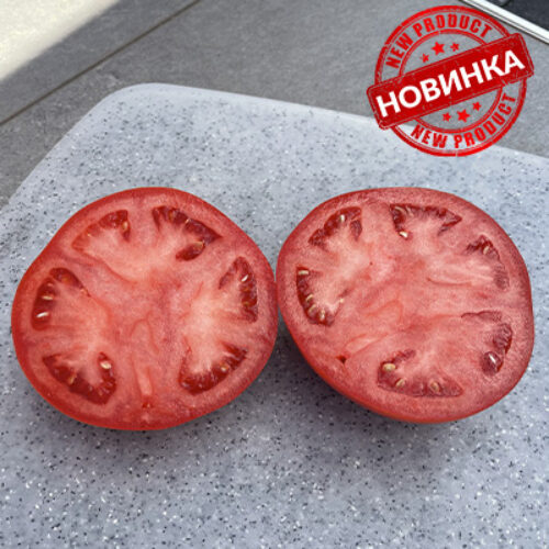 Стронг F1