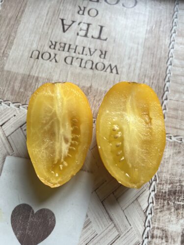 yellow_plam_f1 (5)