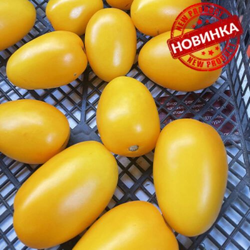 Єллоу Плам F1