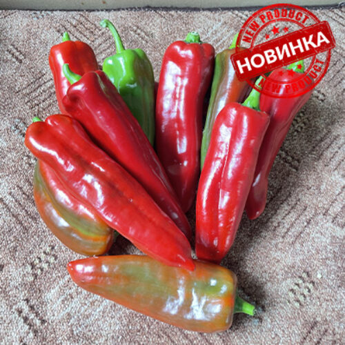 Конік F1