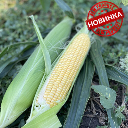 Апачі F1